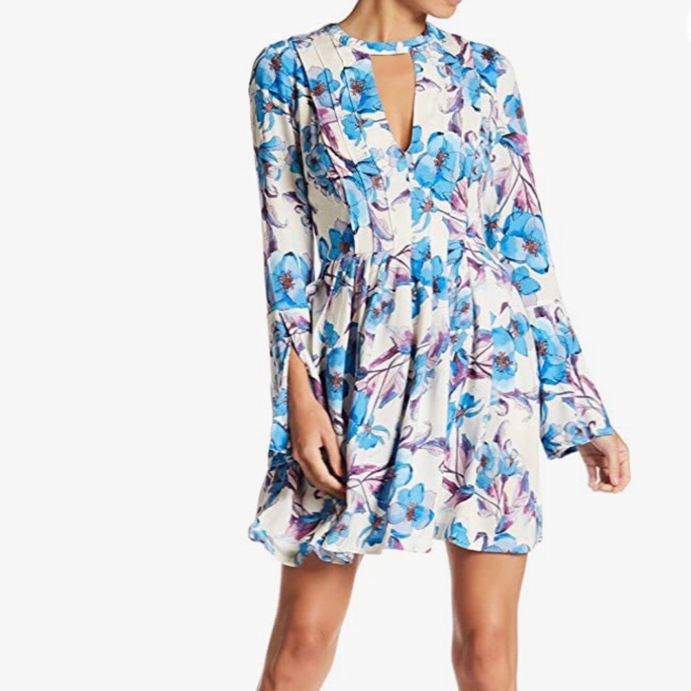 Free People Blue White Floral Tegan Mini Dress